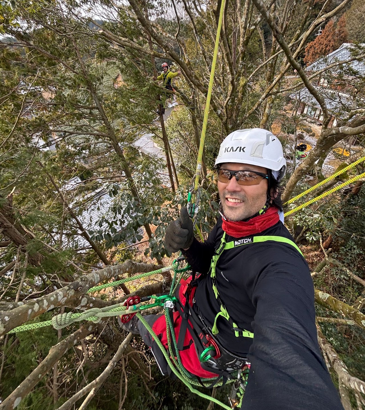 Tomo Kimura tra i rami di un albero